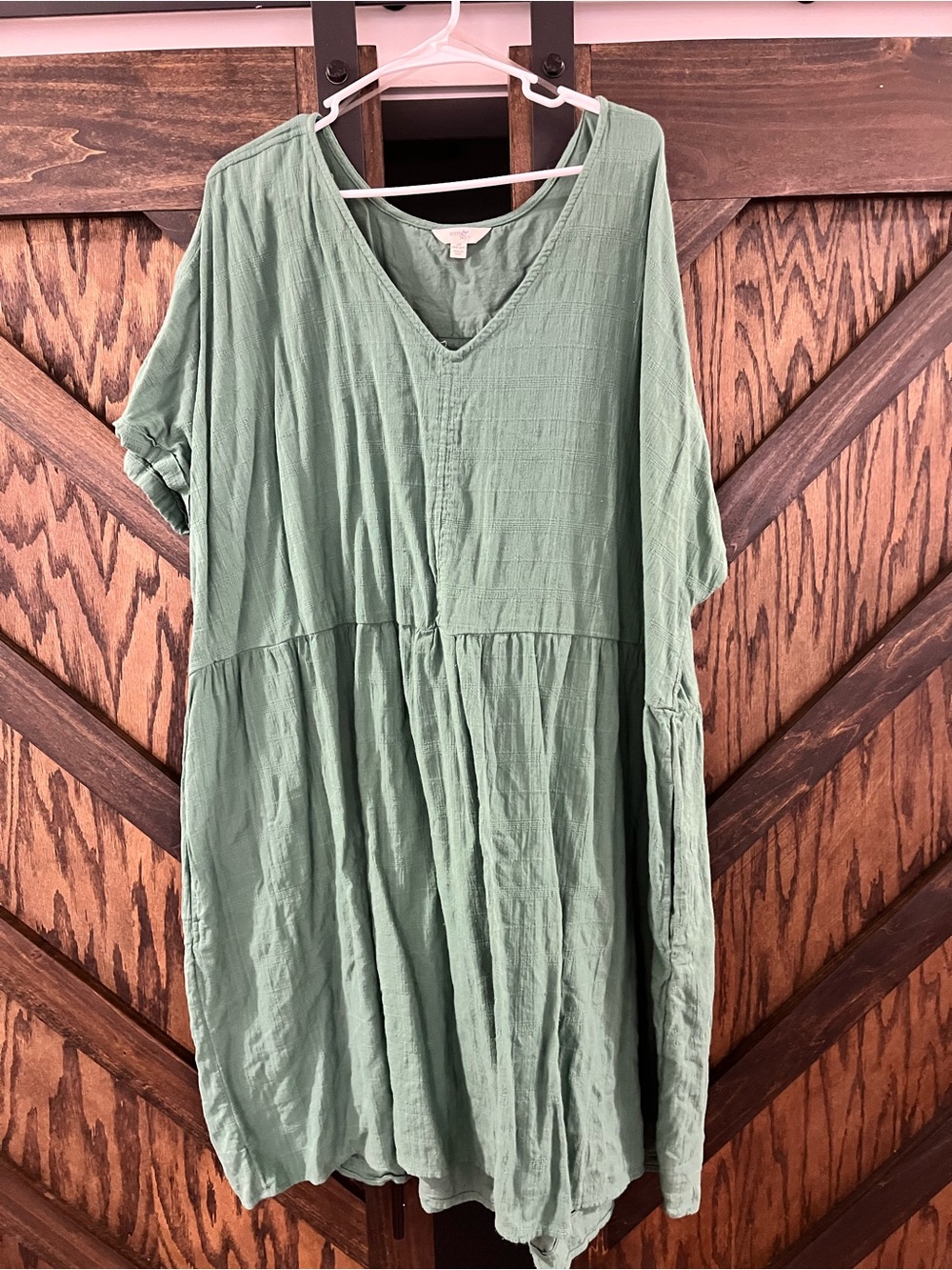 Terra & Sky Sage V-Neck Relaxed Tiered Tunic